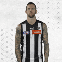 GIF by CollingwoodFC