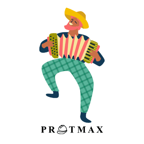 Festa Junina Sanfona Sticker by Protmax