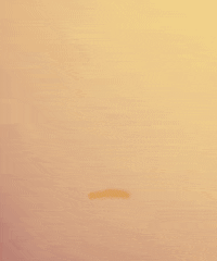 marker sharpie GIF by Ashlyn Anstee