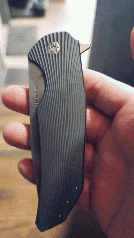 nilknarf1 dragonfly pocket knife folding knife flipper knife GIF