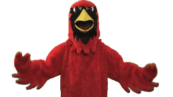 calverthallcollege cardinals hall cardinal calvert Sticker