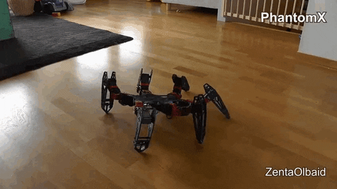 robot spider GIF