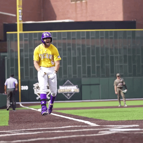 Happy Lsu Baseball GIF by LSU Tigers
