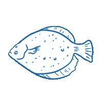 Weiss Nachhaltig Sticker by Marine Stewardship Council (MSC)