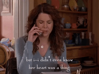 season 4 netflix GIF by Gilmore Girls 