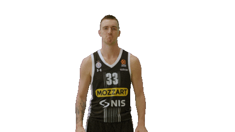 Partizan Sticker by sportmts