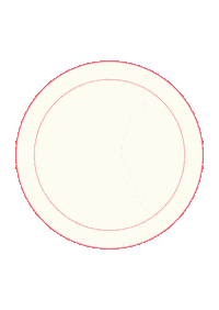 Fruit Plate Sticker