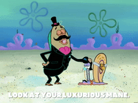 season 6 episode 10 GIF by SpongeBob SquarePants