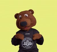 Sport Hockey GIF by HockeyDiversityAlliance