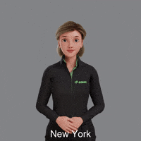 New York Avatar GIF by Sign Time - SiMAX