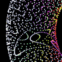 jordangraves art loop design rainbow GIF