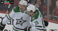 Ice Hockey Hug GIF by NHL