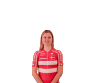 Happy Victory Sticker by Team Danmark