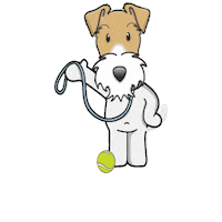 Wire Fox Terrier Sticker
