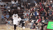 Santa Clara University Bucky GIF by Santa Clara Broncos