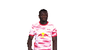Winning Rb Leipzig Sticker by Bundesliga