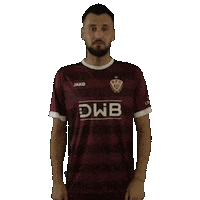 Happy Football Sticker by BFC Dynamo