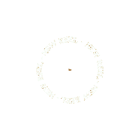 Reel Webshop Sticker by Y&M Home Creations