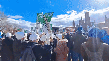 Crowds Wave Signs in DC Ahead of Anti-Abortion 'March for Life'