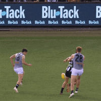 Collingwood Magpies Afl GIF by CollingwoodFC