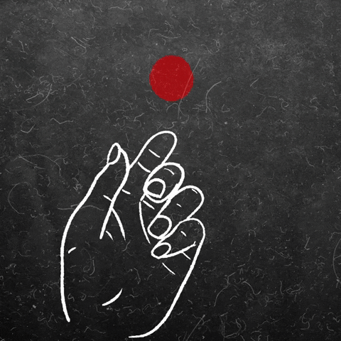 KittyWildAdventure giphyupload GIF