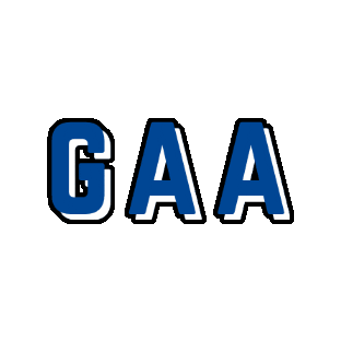 Gaa Sticker by TQS Integration