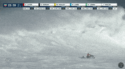 wave surf GIF