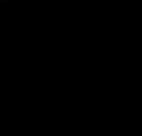 subtropikal festival musica arte criatividade GIF