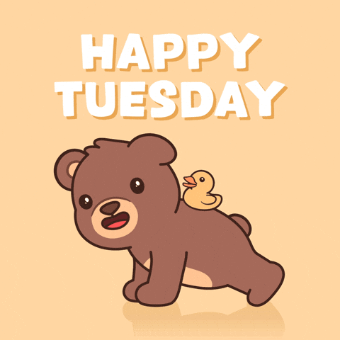 Push Up Teddy Bear GIF by BEARISH