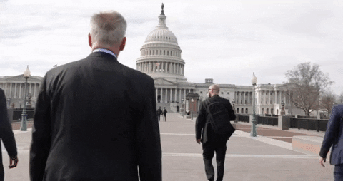 SpeakerMcCarthy giphygifmaker house usa view GIF