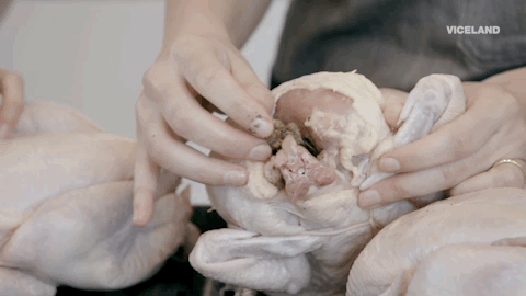 viceland GIF by Bong Appetit