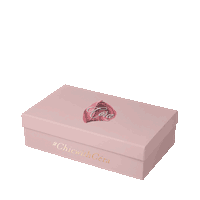 Pink Shopping Sticker by Cera Official