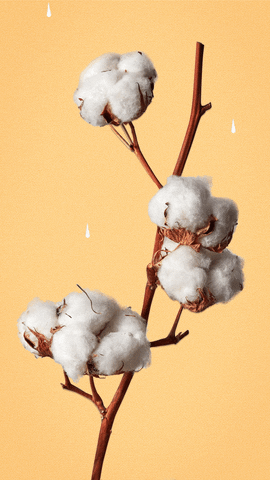 Cotton Cotton Ball GIF by The Fabric of Our Lives