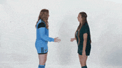 Huntington University GIF by FDN Sports