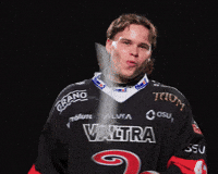 Hockey Liiga GIF by JYP