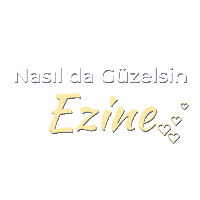 Turkey Ezine Sticker by mertsayilgan