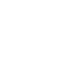 Palme Skog Sticker by Regnkogfondet