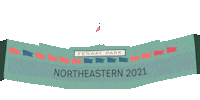 Nuexperience Sticker by Northeastern University
