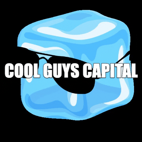 coolguyscapital cgc coolguyscapital GIF