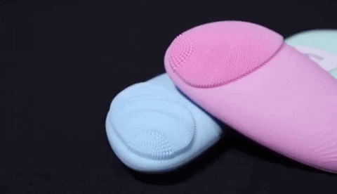 SmartyZebra giphygifmaker GIF