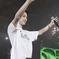 Stray Kids Felix GIF