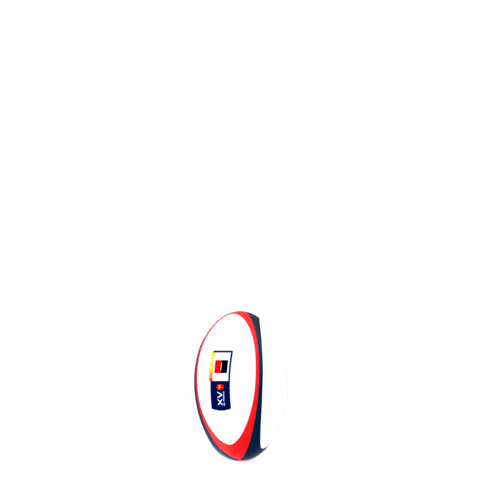 equipe de france rugby Sticker by SOCIETE GENERALE