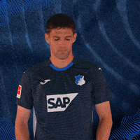 Sport Bundesliga GIF by TSG Hoffenheim