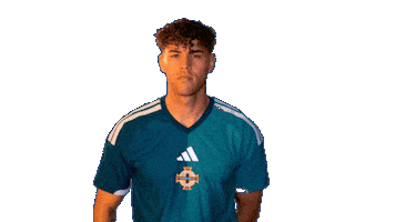 Silence Ssh Sticker by Northern Ireland