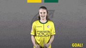 Fan Supporter GIF by Fortuna Sittard