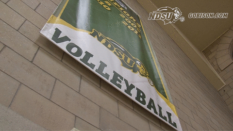 north dakota state bison GIF by NDSU Athletics