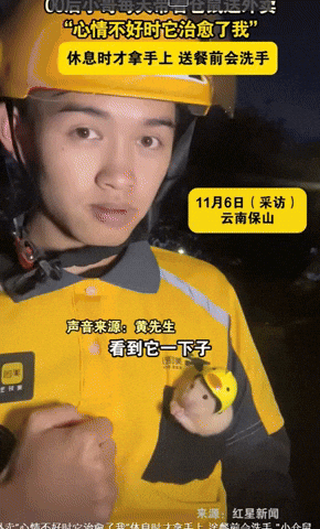 yj_jane giphyupload GIF