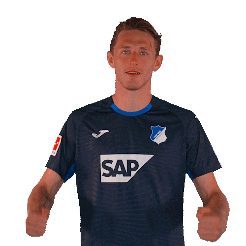 Wouter Burger Sport Sticker by TSG Hoffenheim