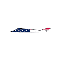 Air Force Stealth Sticker by RampCheckGlobal