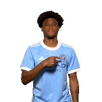 New York City Fc Reaction Sticker by NYCFC